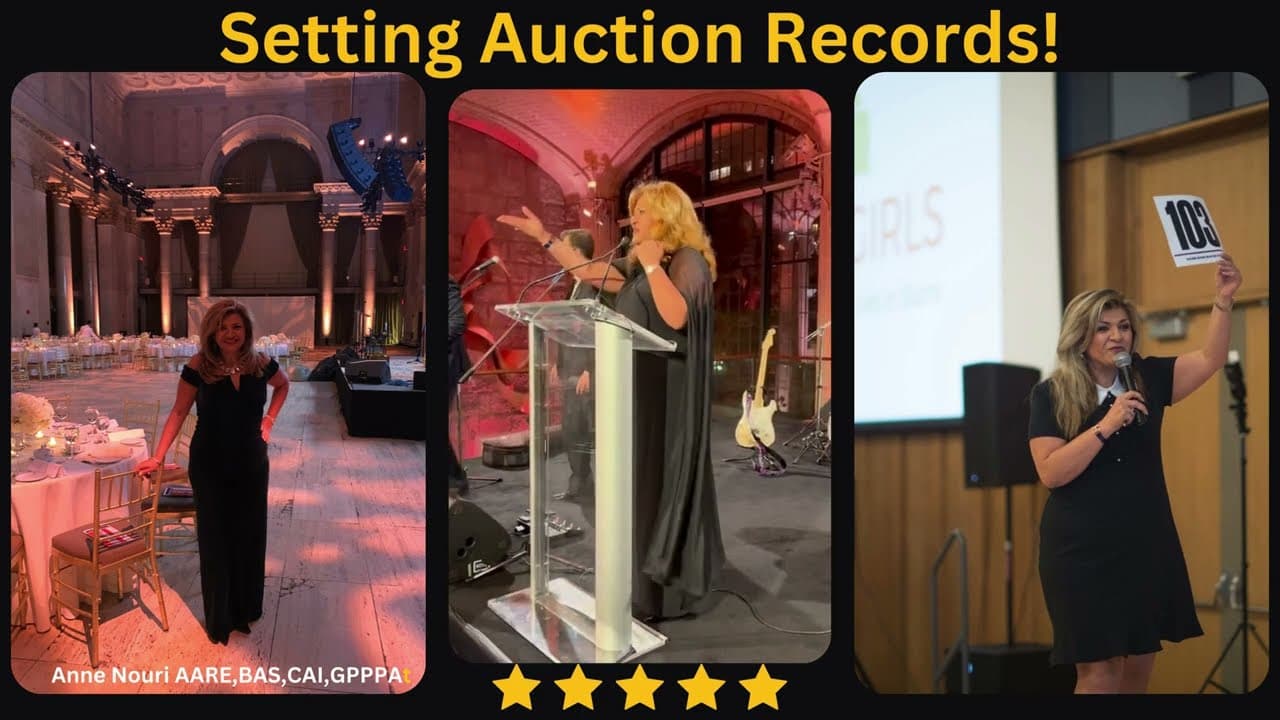 Anne Nouri benefit auction video preview