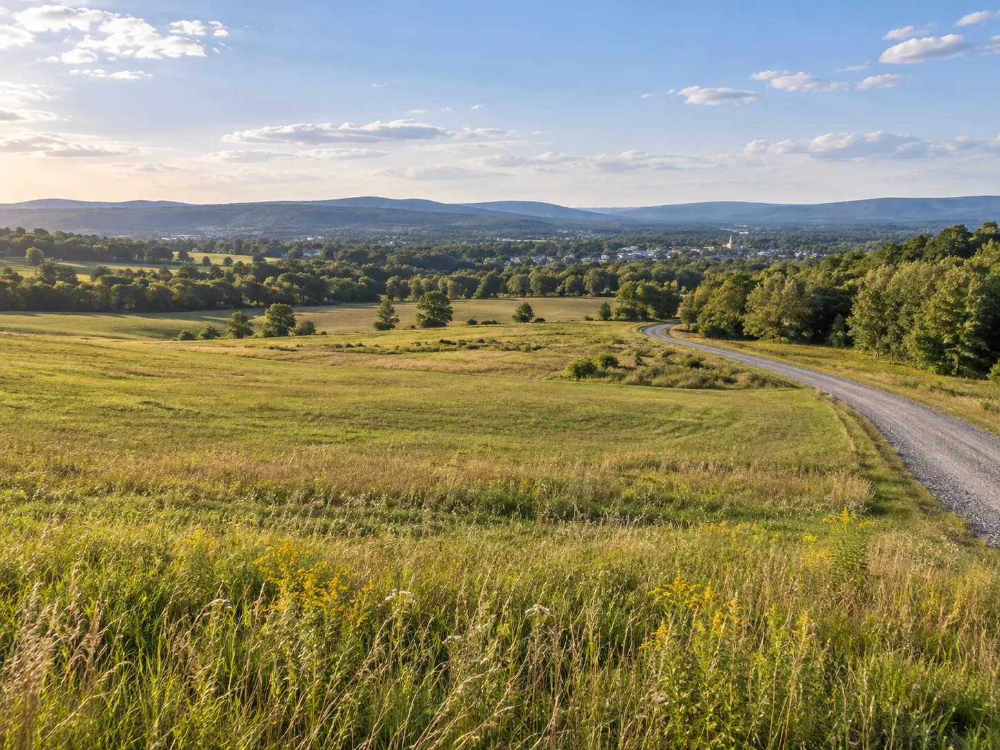Illustrative undeveloped acreage and tree line